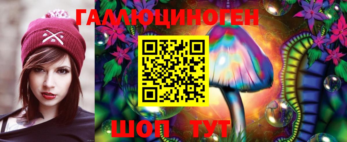 Псилоцибиновые грибы GOLDEN TEACHER Фрязино
