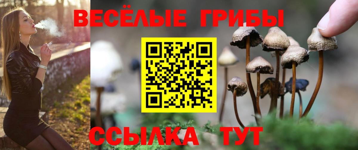 Псилоцибиновые грибы ЛСД  продажа наркотиков  Фрязино  Вход с VPN 